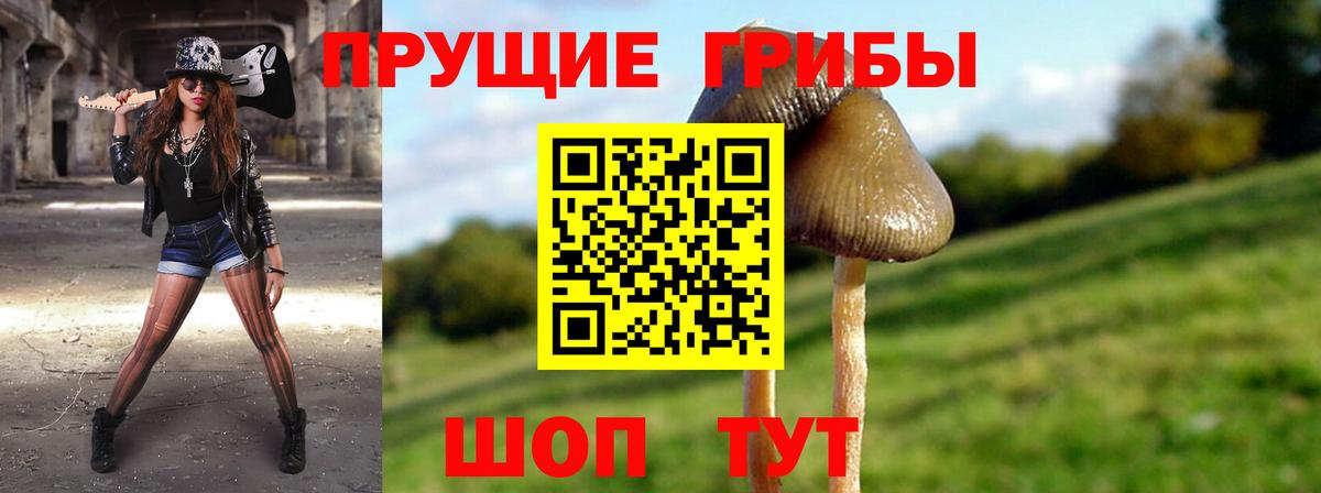 Зеленокумск  наркота  Вход с VPN  Галлюциногенные грибы Magic Shrooms  Галлюциногенные грибы ЛСД 